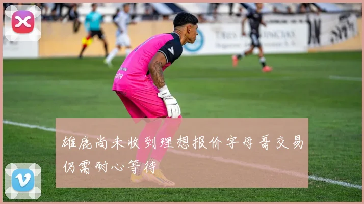 雄鹿尚未收到理想报价字母哥交易仍需耐心等待